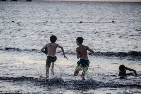 夏日海灘浪花與戲水時光 封面