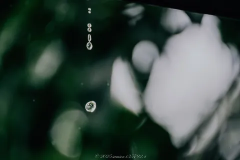 晶瑩水滴凝結與光影微距 封面